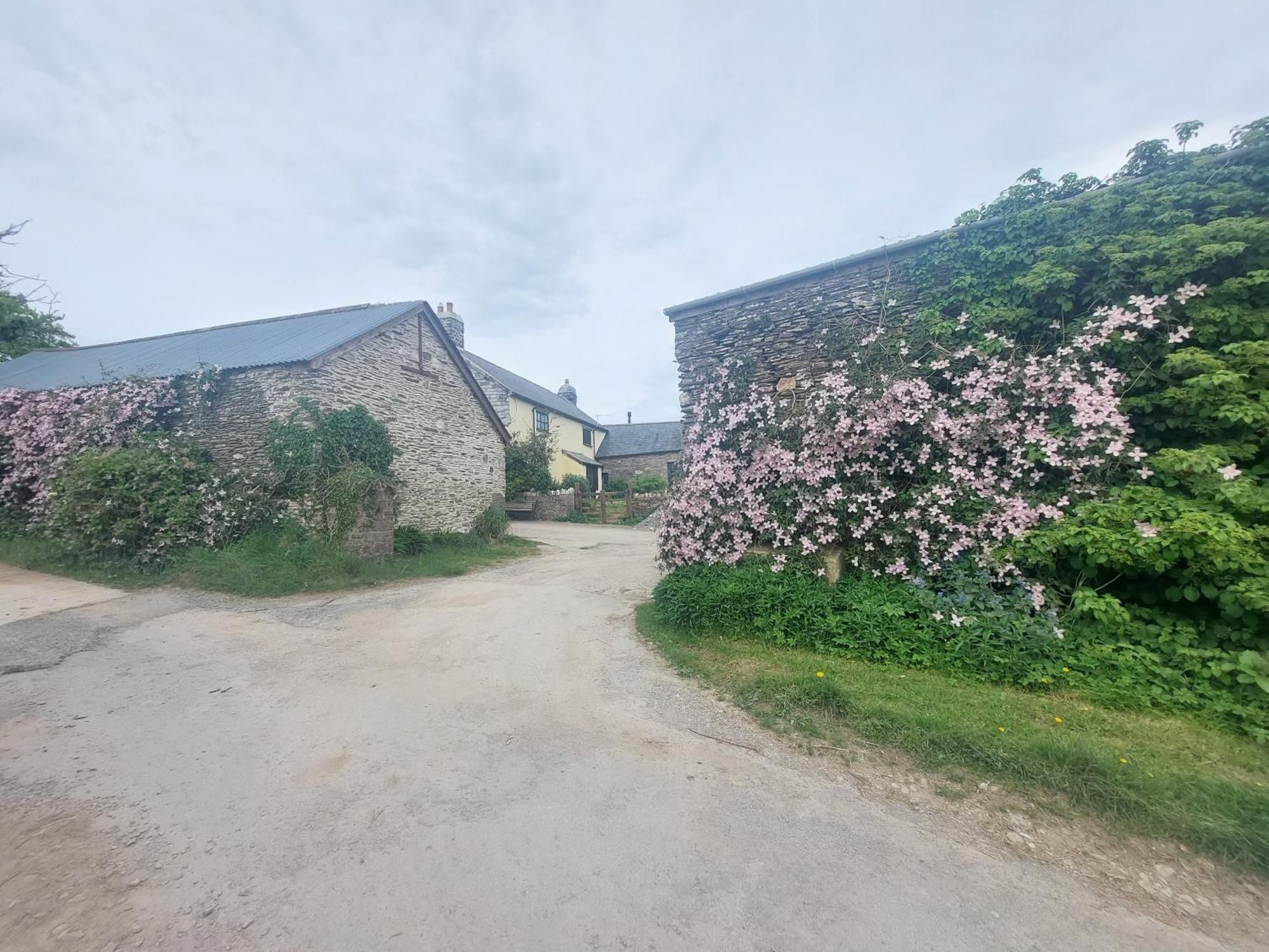 Rural Historic Farmhouse - A Peaceful Escape West Down المظهر الخارجي الصورة